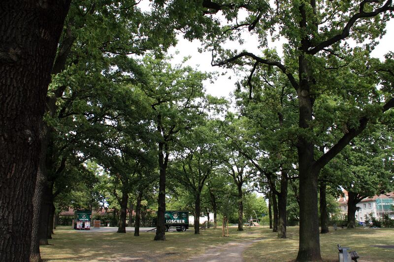 Datei:Eichenhain 2013.jpg