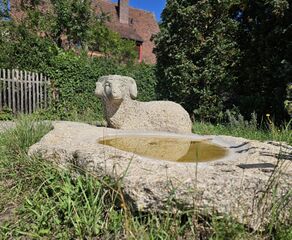 2025 08 23 Widderbrunnen (2).jpg