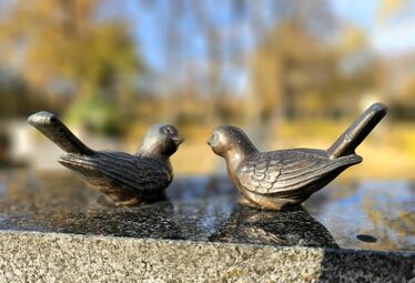 2025 11 11 Vögel Grabmal.jpg