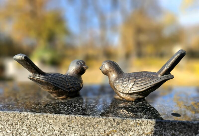 Datei:2025 11 11 Vögel Grabmal.jpg