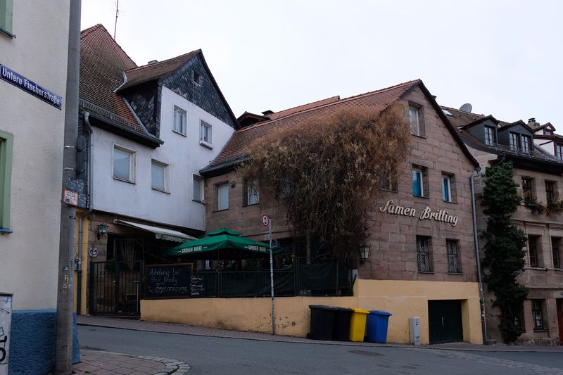 Datei:Keimling Nov 2020 1.jpg