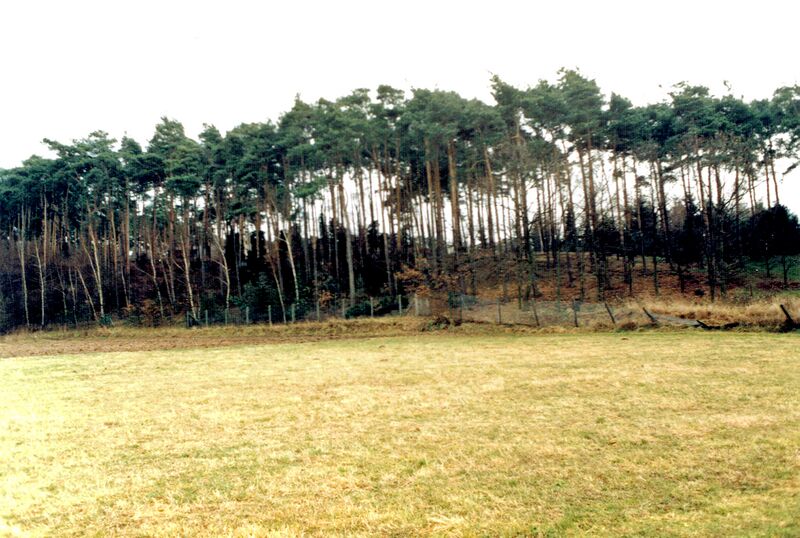 Datei:Wiesengrund bei Seestraße Dez 1986.jpg