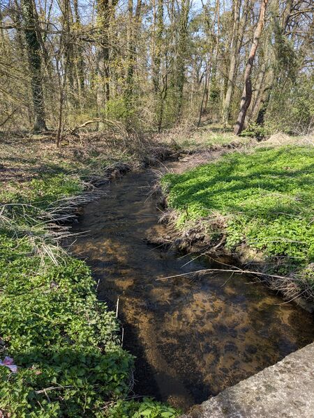 Datei:Bucher Landgraben c 20230406.jpg