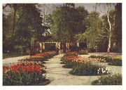 Postkarte Grünen und Blühen 8.jpg