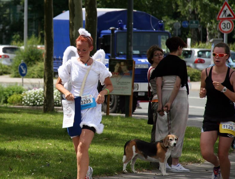 Datei:Susanne Singer 2013 IMG 8285.jpg