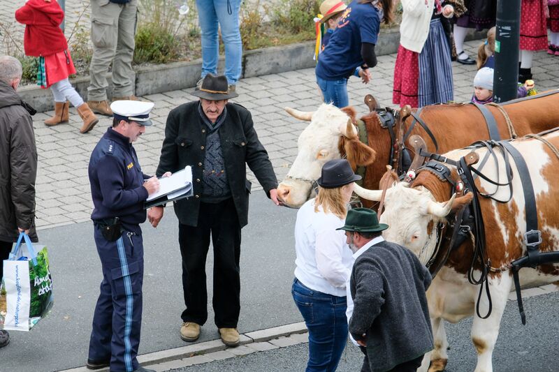 Datei:Erntedankfestzug Okt 2017 94.jpg