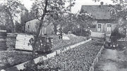 Blumen Pfaff 1940.jpg