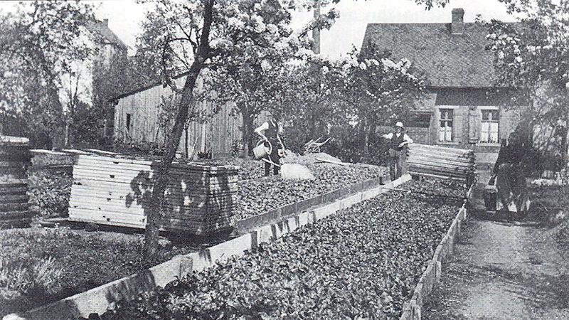 Datei:Blumen Pfaff 1940.jpg