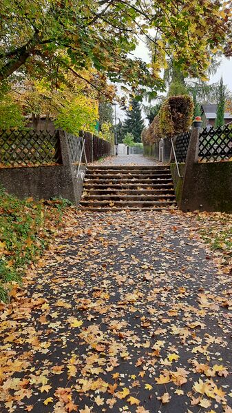 Datei:Fliederweg Fußweg.jpg