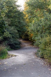 Würzburgerstr 05.jpg