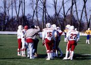 NL-FW 04 0381 KP Schaack Buffalos 89 c.jpg