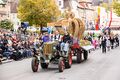 Teilnehmer des Erntedankfestumzugs, Okt. 2024