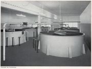 Grüner Weichhaus ca 1950.jpg