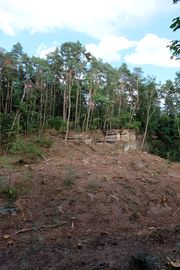 Sandsteinbrüche Stadtwald Aug 2020 2.jpg