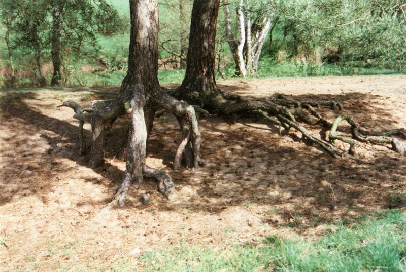 Datei:NL-FW 04 1345 KP Schaack Farrnbach 10.4.1998.jpg