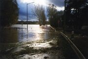 NL-FW 09 KP 497 Hochwasser Stadeln 1998.3.jpg